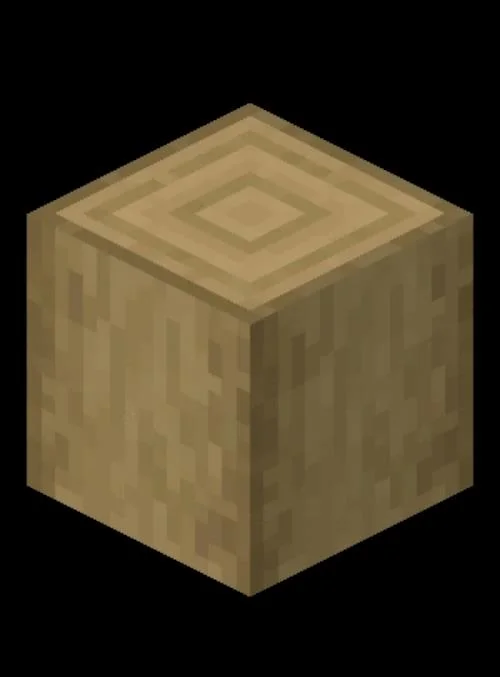 چگونه در Minecraft یک قفسه کتاب بسازیم