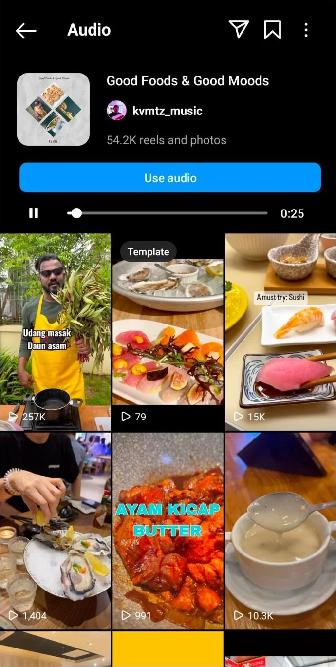 De beste Instagram Reels-nummers