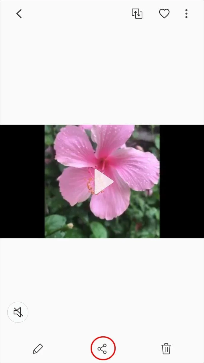نحوه ارسال ویدئو در مسنجر فیسبوک نحوه ارسال ویدئو در مسنجر فیسبوک