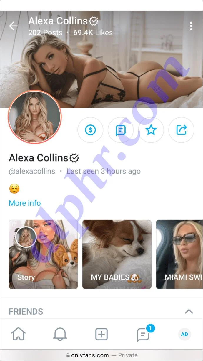 Cara Mematikan Perpanjangan Otomatis Di OnlyFans