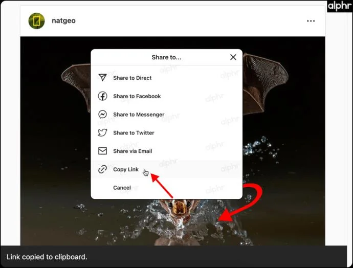 Como encontrar o perfil de uma conta do Instagram ou o URL da postagem