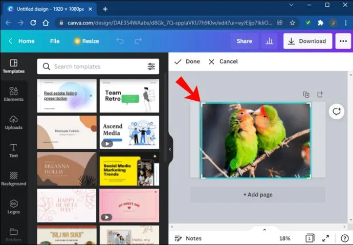 چگونه یک شکل را با یک تصویر در Canva پر کنیم