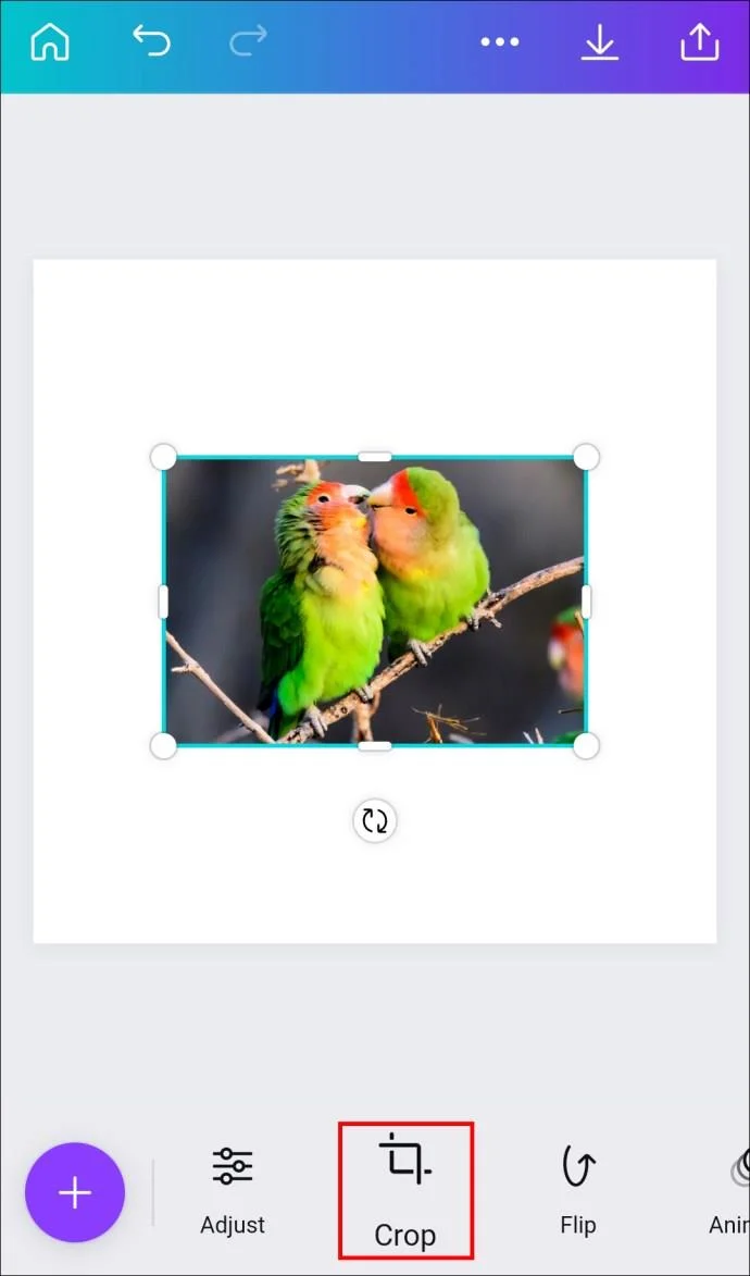 چگونه یک شکل را با یک تصویر در Canva پر کنیم