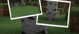 چگونه در Minecraft زوم کنیم