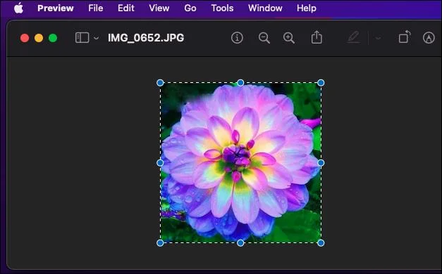 Mac のプレビューで PDF に画像を追加する方法