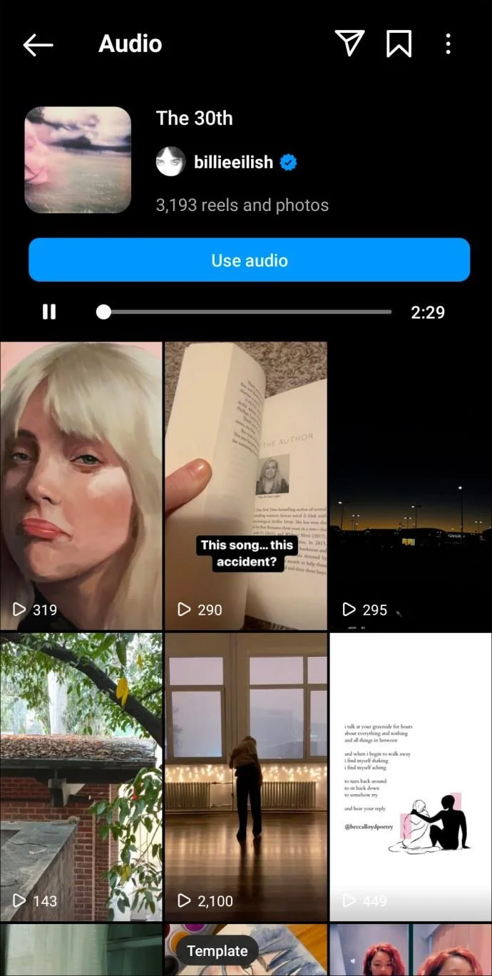 De beste Instagram Reels-nummers