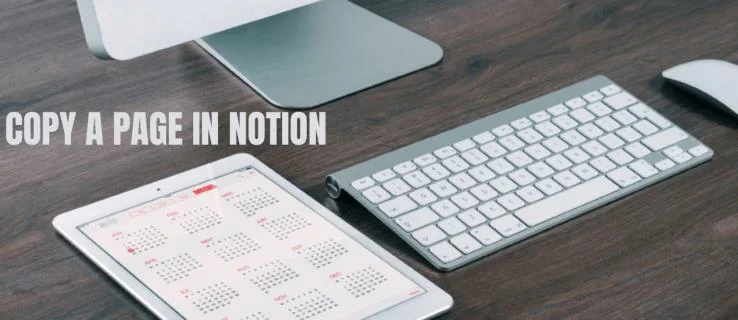 چگونه یک صفحه را در Notion کپی کنیم چگونه یک صفحه را در Notion کپی کنیم