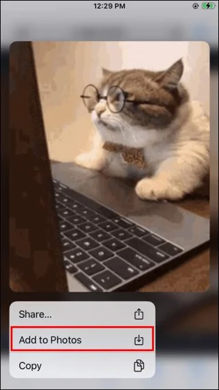 نحوه استفاده از GIF در سیگنال نحوه استفاده از GIF در سیگنال