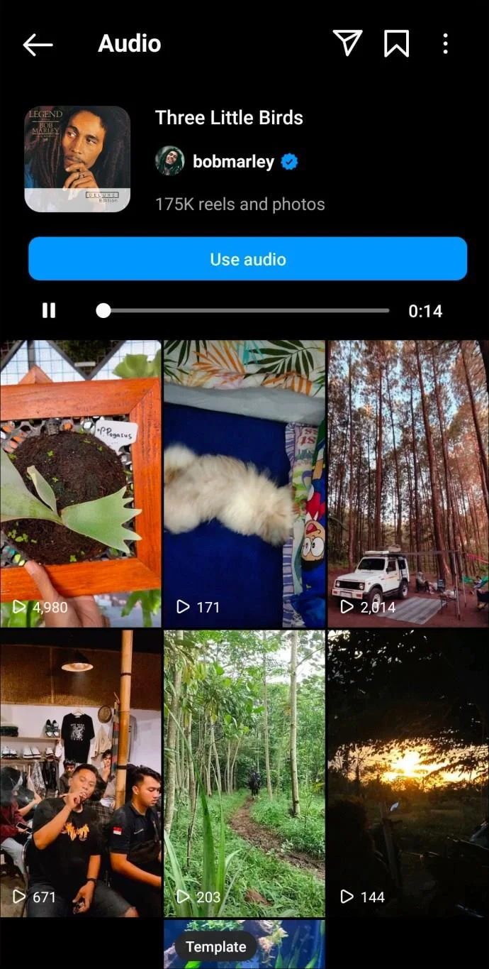 De beste Instagram Reels-nummers