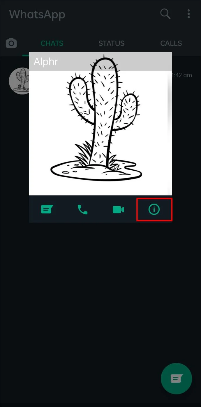 Cómo saber si alguien te eliminó en WhatsApp
