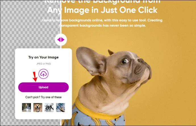 نحوه حذف پس زمینه در Picsart