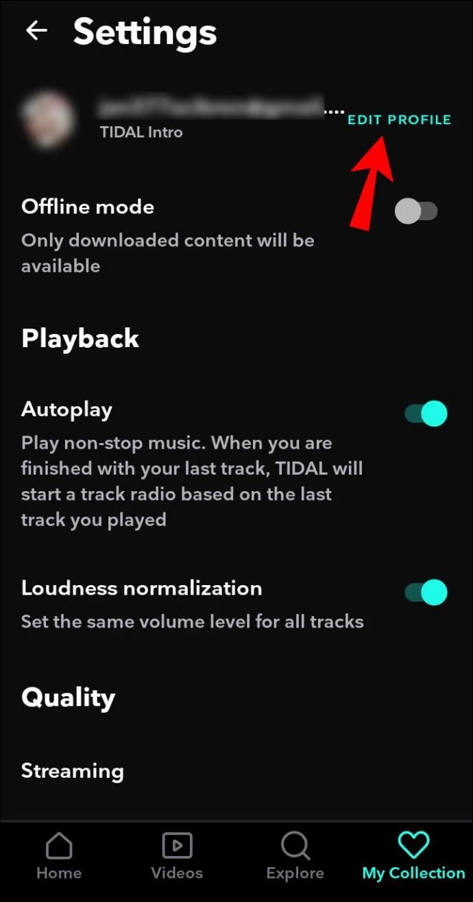 Cara Menambah Keluarga Di Tidal