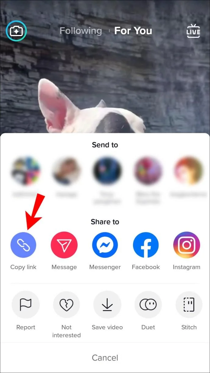 نحوه ارسال لینک به ویدیوی TikTok