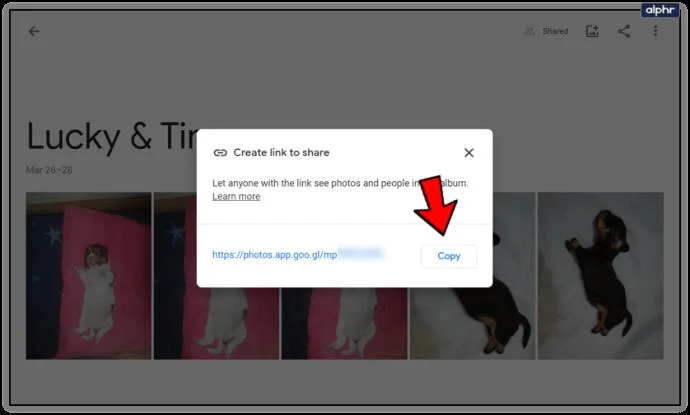 نحوه تغییر Google Photos به یک حساب دیگر
