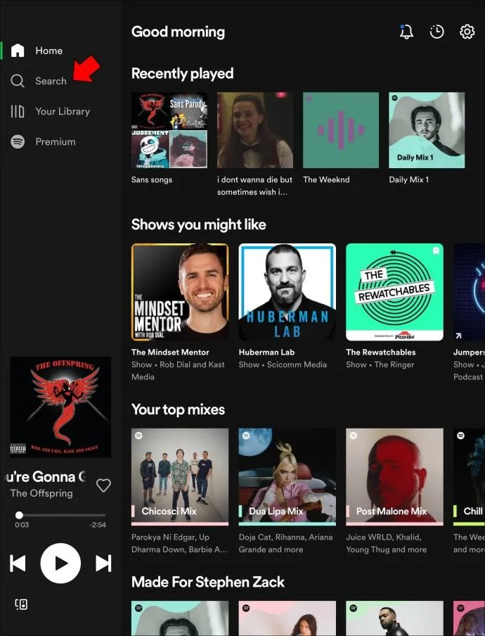 نحوه مشاهده متن ترانه در Spotify