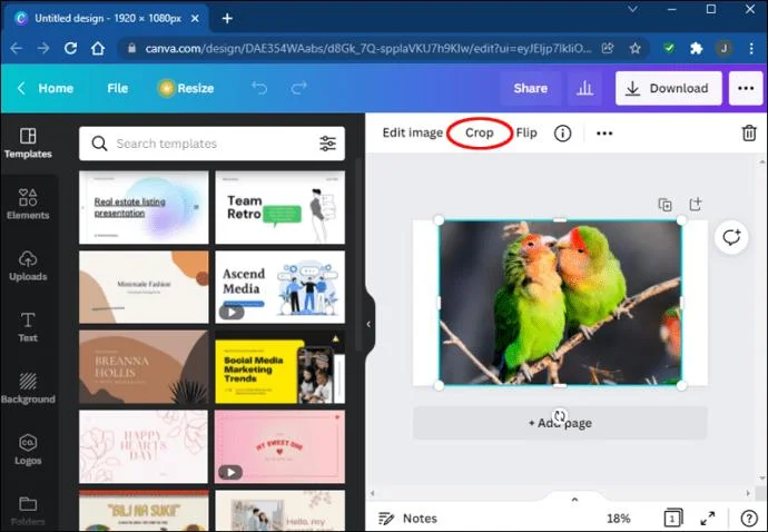 چگونه یک شکل را با یک تصویر در Canva پر کنیم