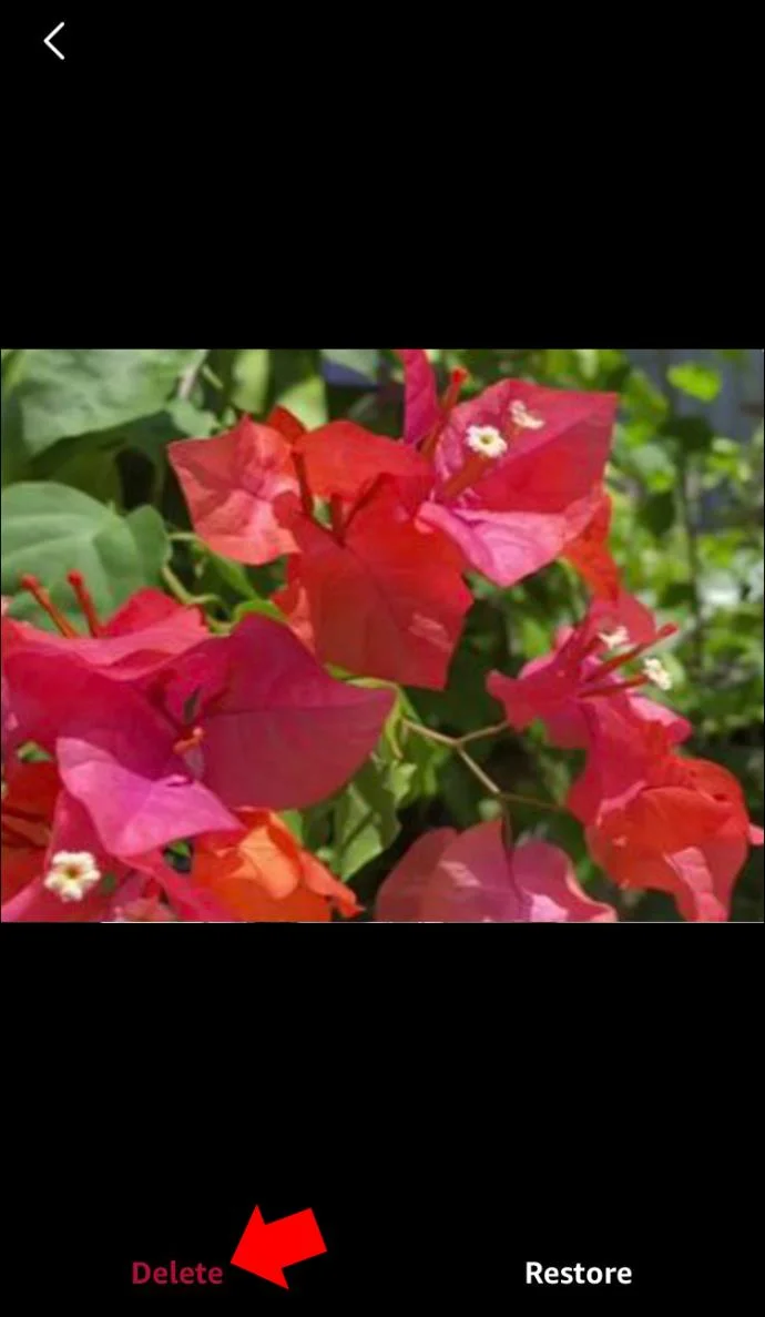 Cara Mengosongkan Sampah Di Foto Amazon