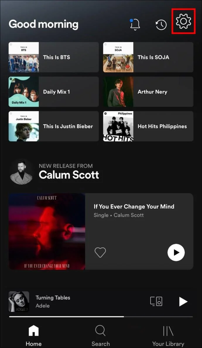 نحوه روشن یا خاموش کردن Canvas در Spotify