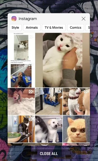 Instagram-verhaal wordt niet gepost - wat te doen