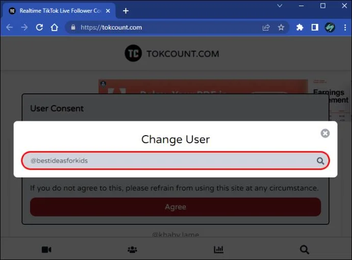 Type TikTok Username