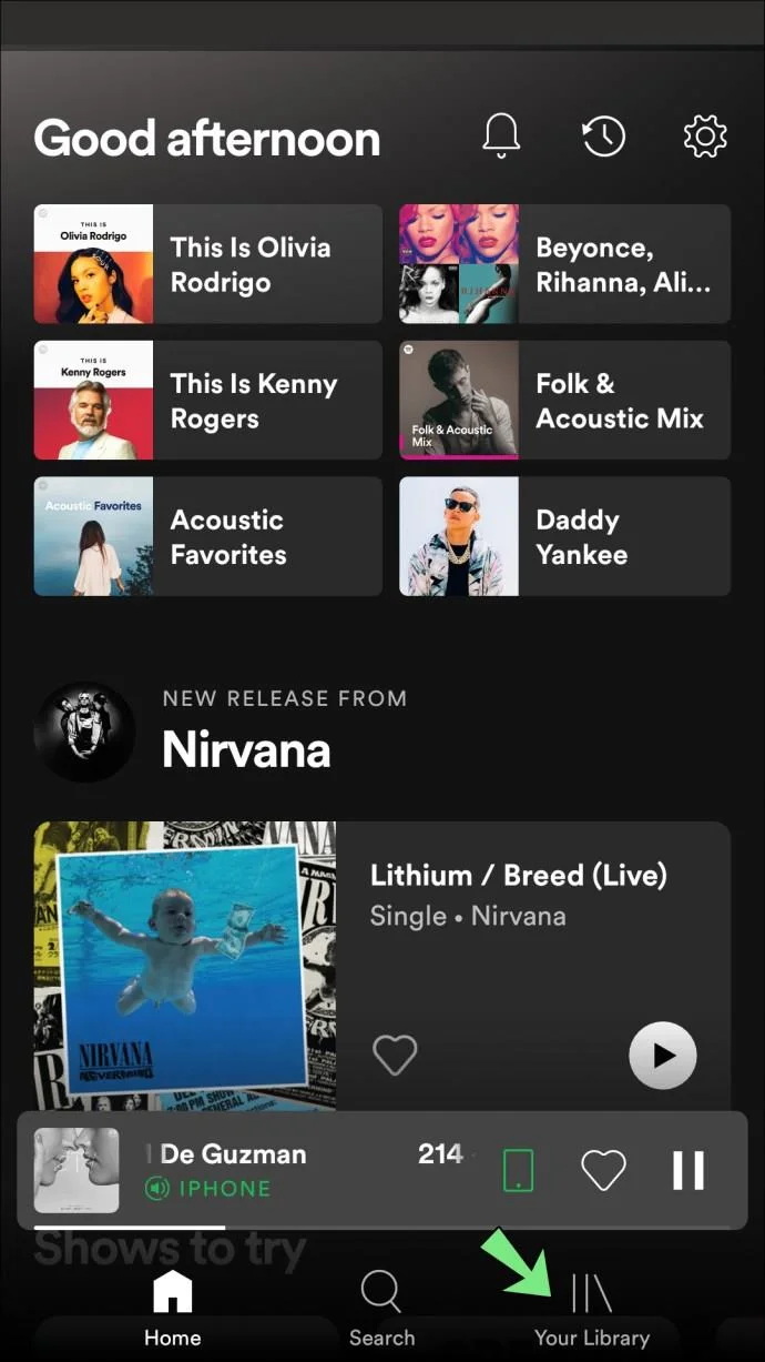 Kun je controleren wie je afspeellijst leuk vond in Spotify?