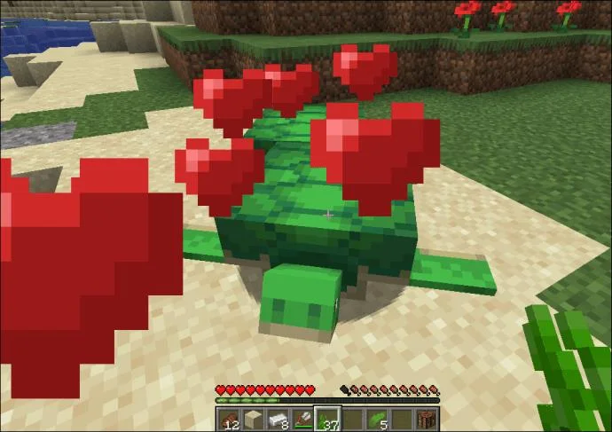 چگونه در Minecraft لاک پشت ها را پرورش دهیم