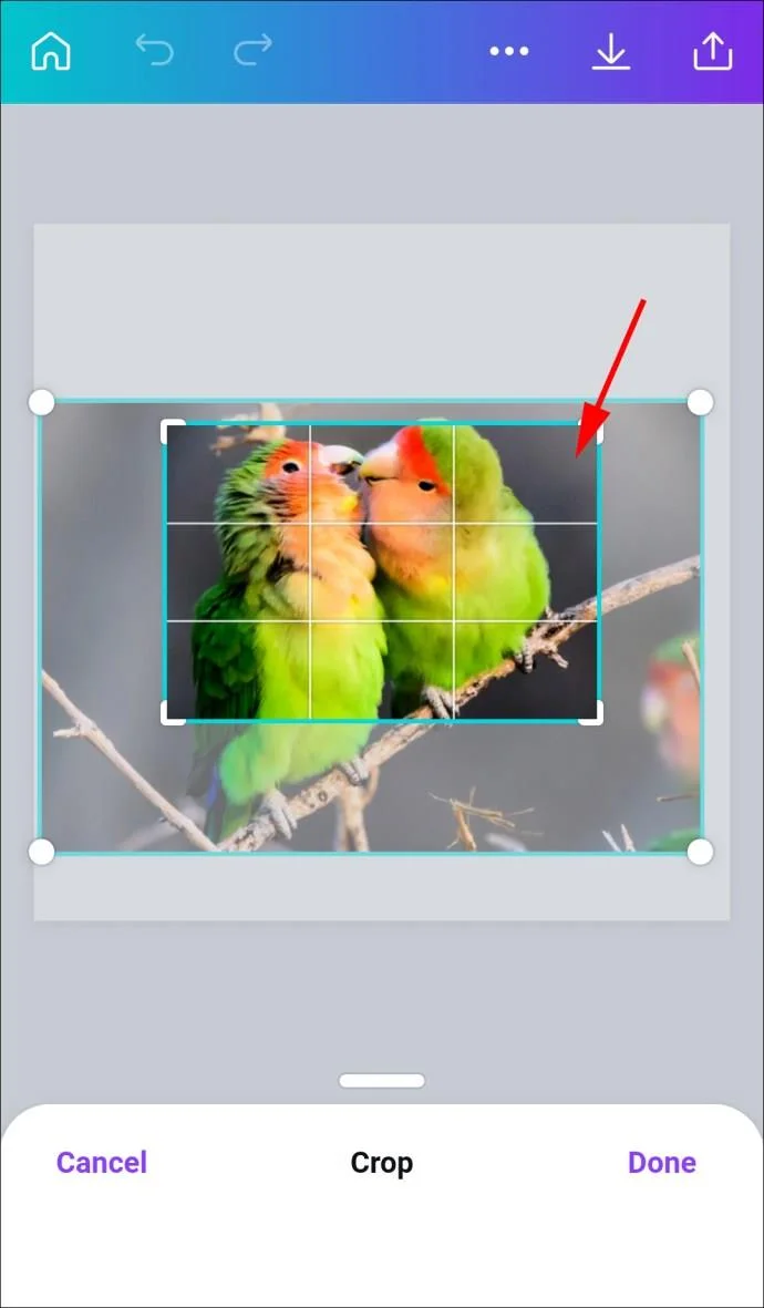 چگونه یک شکل را با یک تصویر در Canva پر کنیم