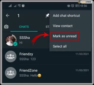 نحوه بررسی آنلاین بودن شخصی در واتس اپ