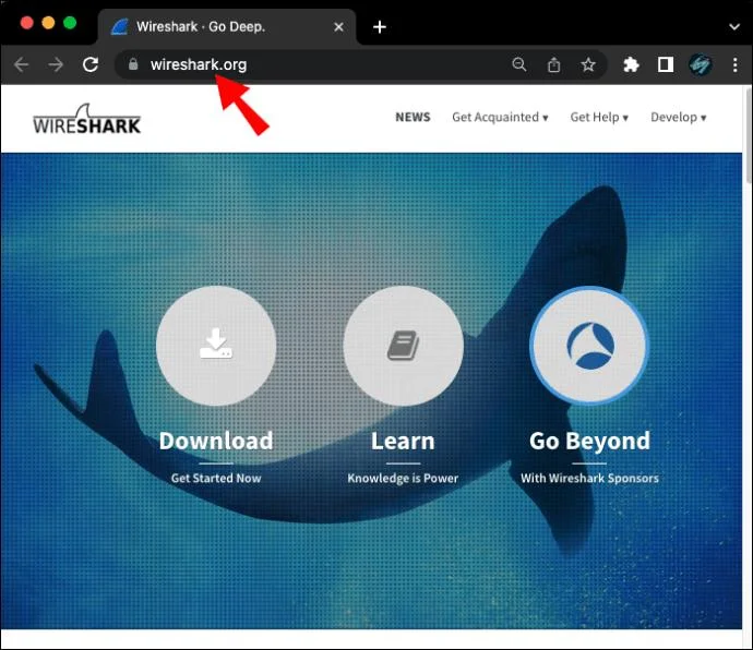 نحوه گرفتن بسته ها در WireShark