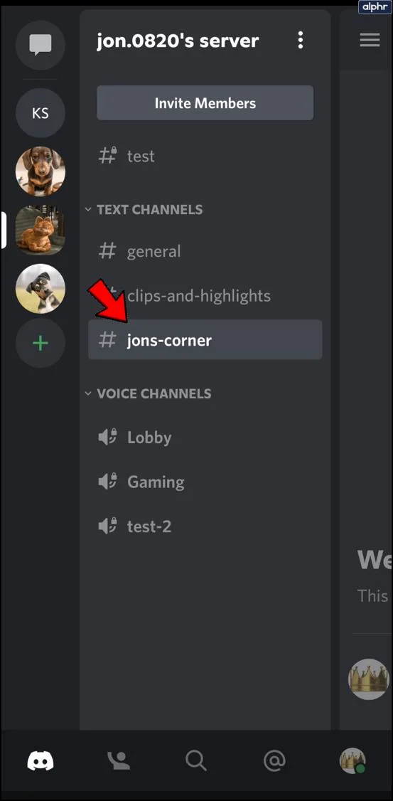 نحوه ارسال فایل در Discord