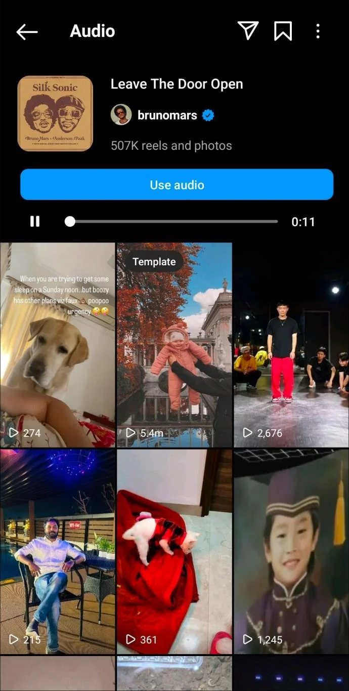 De beste Instagram Reels-nummers