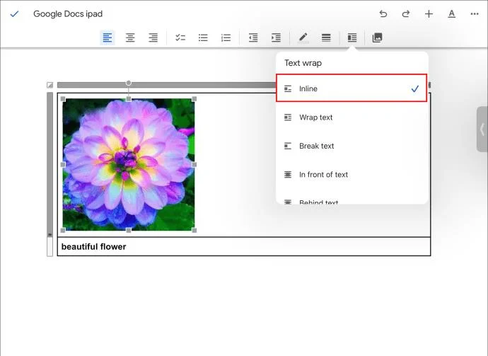 چگونه در Google Docs به تصاویر زیرنویس اضافه کنیم