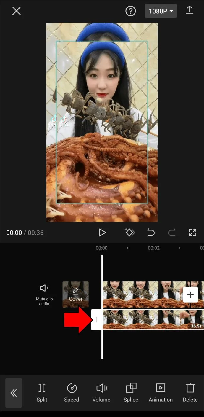 CapCut에서 사진 또는 비디오에 흐림 효과를 추가하는 방법