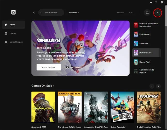 چگونه در Epic Games به صورت آفلاین ظاهر شویم