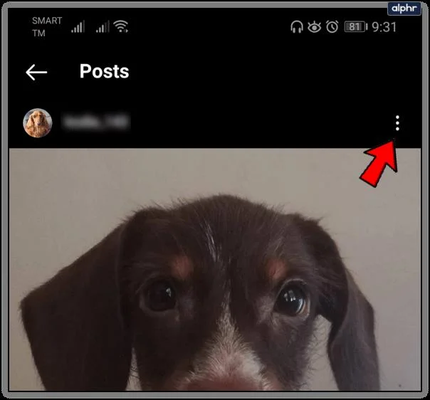 Kun je een filter bewerken na het plaatsen op Instagram