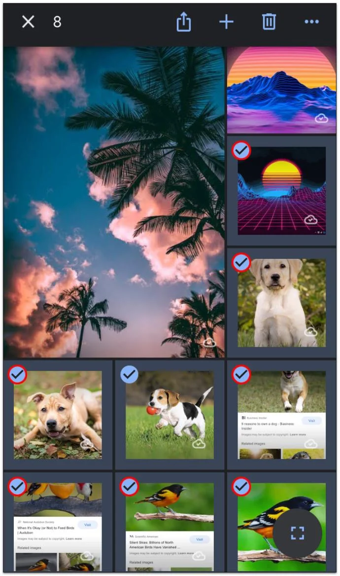 نحوه انتقال Google Photos به ICloud