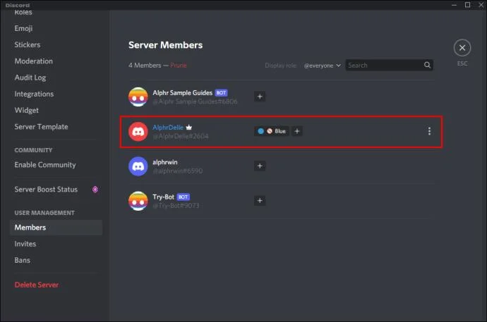 چگونه بررسی کنیم که چه کسی صاحب سرور Discord است