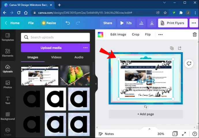 چگونه یک شکل را با یک تصویر در Canva پر کنیم