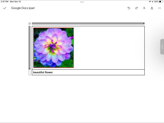 چگونه در Google Docs به تصاویر زیرنویس اضافه کنیم