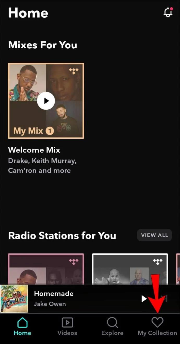 Cara Menambah Keluarga Di Tidal