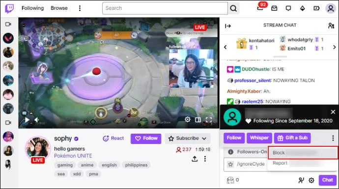 How To Turn Off The Chat Filter In Twitch