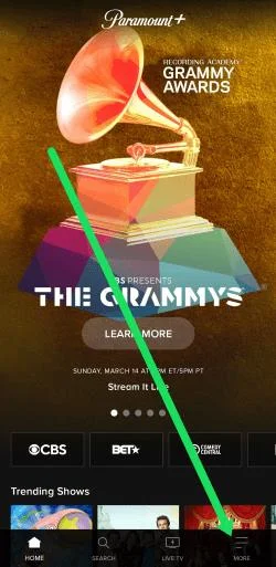 How To Manage Subtitles For Paramount+ (All Major Devices)