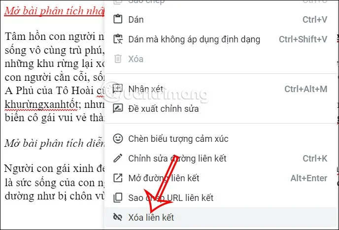 Cómo insertar un enlace en un documento de Google Docs