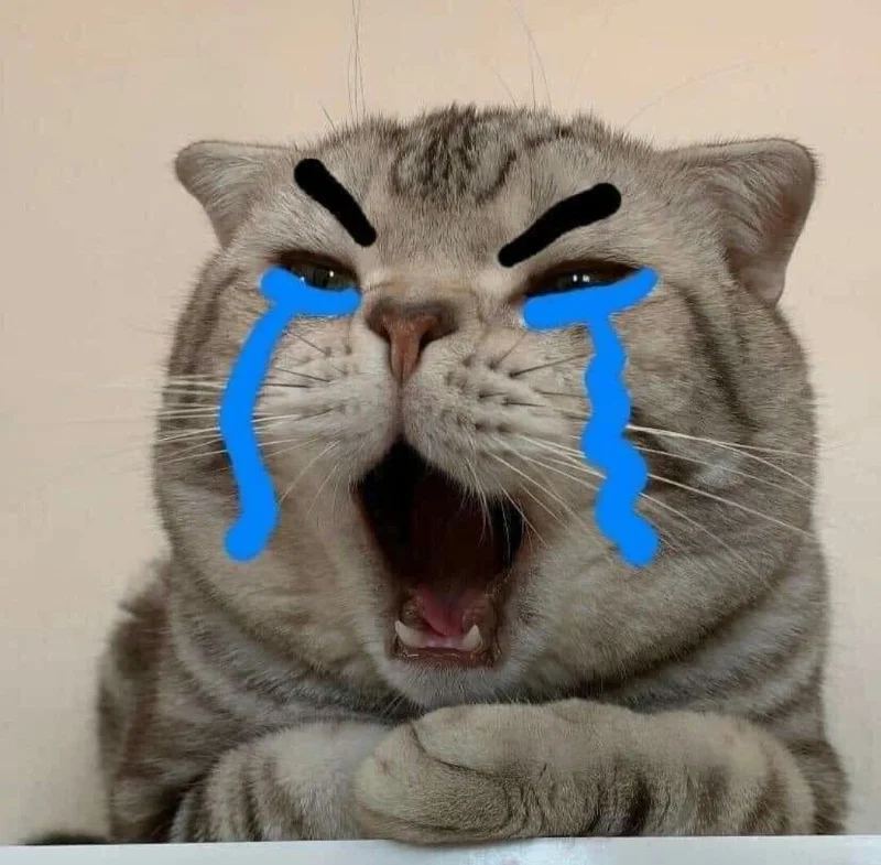 Meme van een huilende kat, grappige foto's van een huilende kat