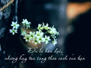 Petikan yang baik tentang bunga, kapsyen tentang bunga, status yang baik dan bermakna tentang bunga