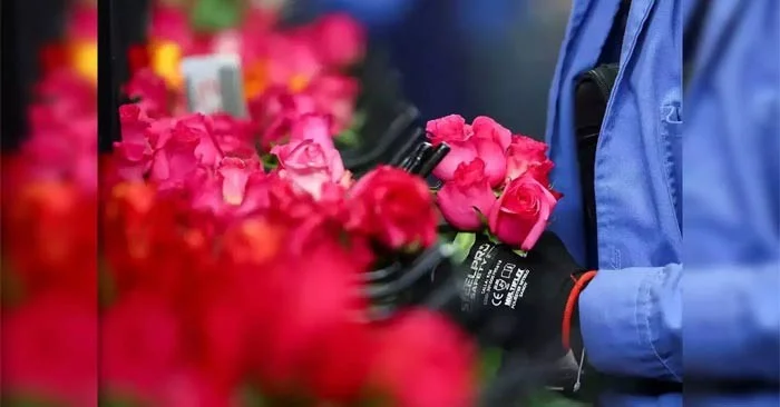 Antwoorden op de meest voorkomende vragen over Valentijnsdag Antwoorden op de meest voorkomende vragen over Valentijnsdag