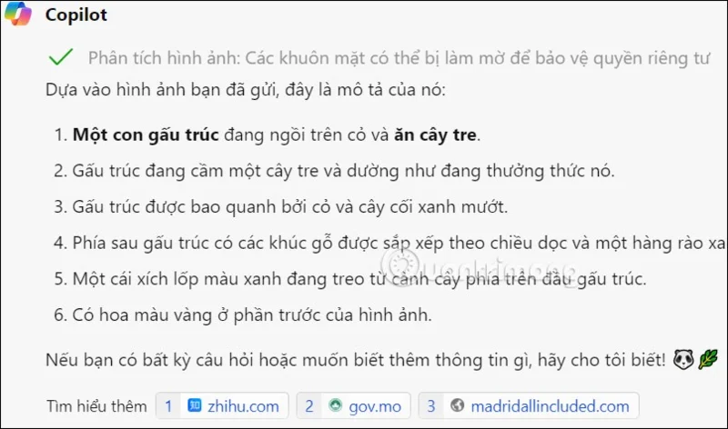 Copilot'ta görüntüleri metne dönüştürme talimatları