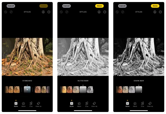 Comment utiliser les styles photographiques de l'iPhone 16