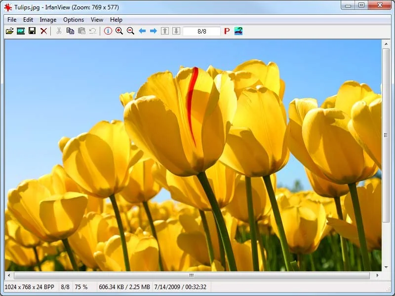 Zusammenfassung der besten Fotoanzeigesoftware auf dem PC