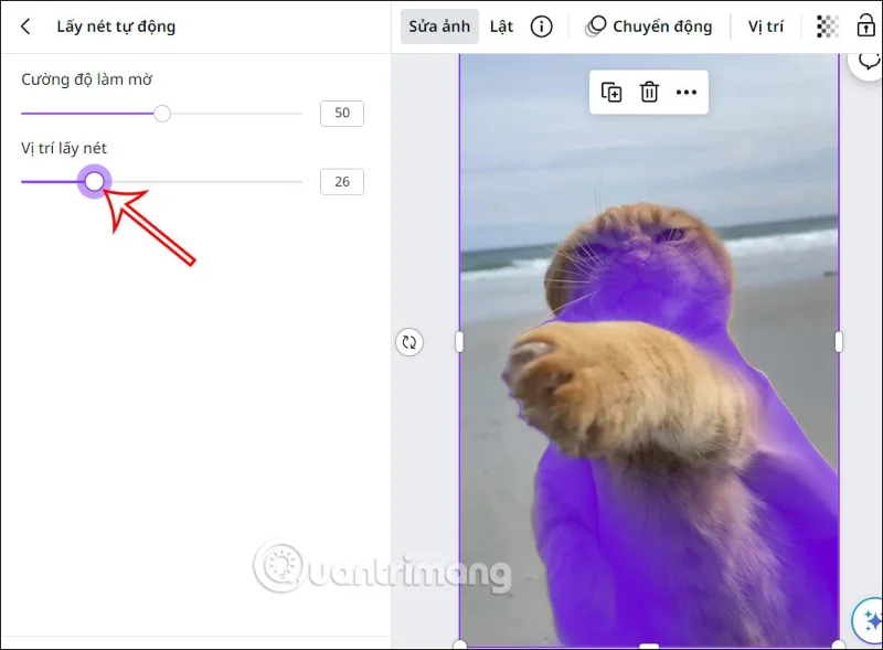 Como desfocar fotos no Canva de forma muito simples